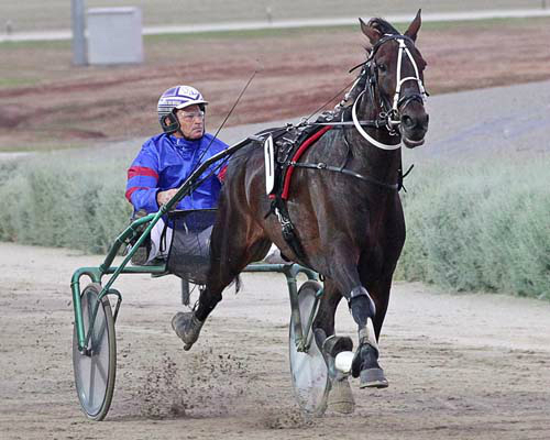 Harness briefs – 21st September 2017