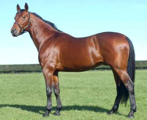 Delphyne gives Sundon a fitting finale