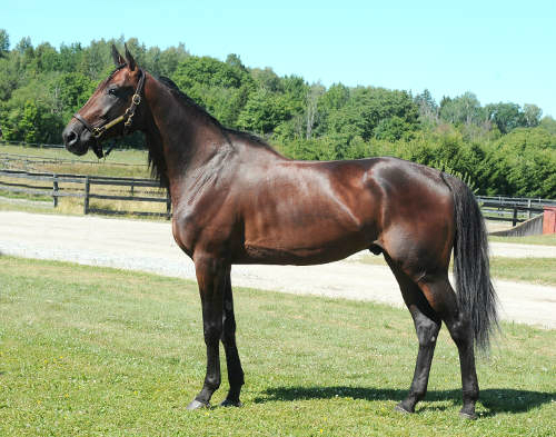 Volstead’s book full & closed for 2025