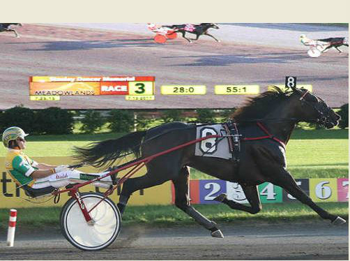 Crown champs repeat in Kindergarten finals