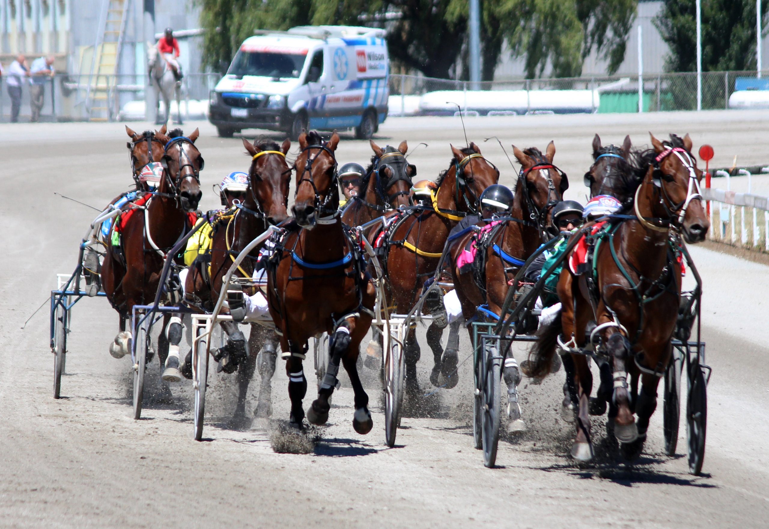 Five meet racing feast at Warragul