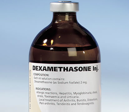 Harness racing trainer guilty – Fined $10,000