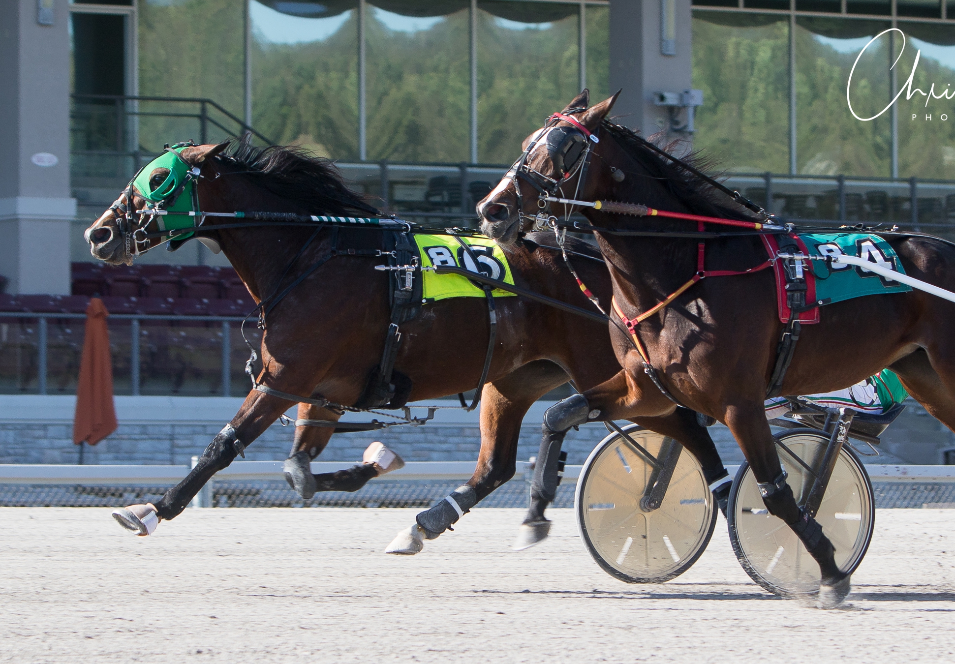 Dreamsteeler pulls off 21-1 shocker at Meadows