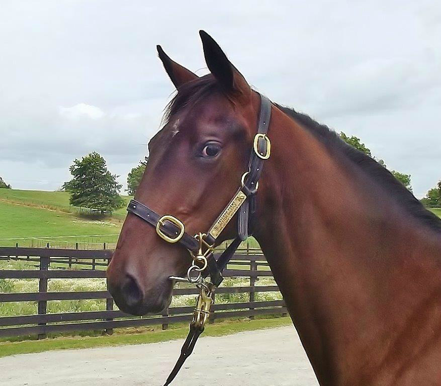 Dunn runner upsets in Sales Graduette