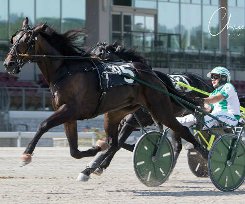 Hockey Hanover extends unbeaten record