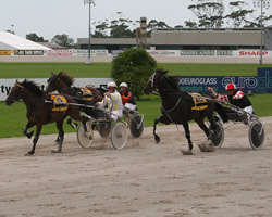 Al Bundy wins for Victor Habor locals