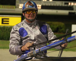 Arden’s Choice on the improve