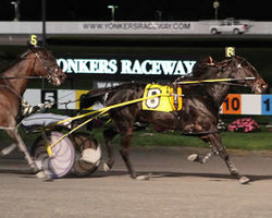 Billmar Scooter goes out in style