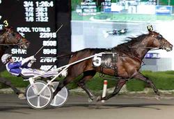 American trotter finally ready for Aussie debut