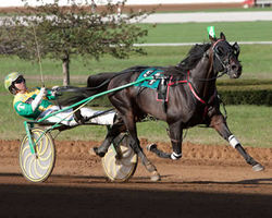 Chapter Seven & Bettor’s Delight book closed