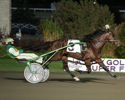 $260,000 top price at Spring sale