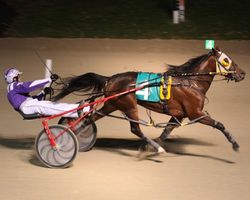 Final start for Camille in Blue Chip Matchmaker