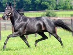 Favorites both victorious in Weiss Series action