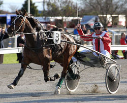 Charlemagne’s 14-month drought is over