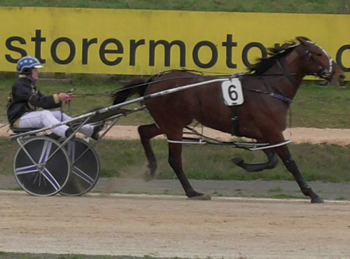 Another exciting Auckland Reactor qualifier