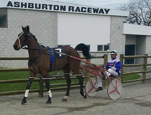 Buster in winning form at trials