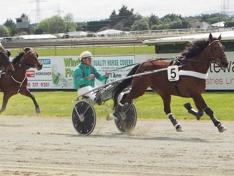 Ameigo wins and Stunin first winner