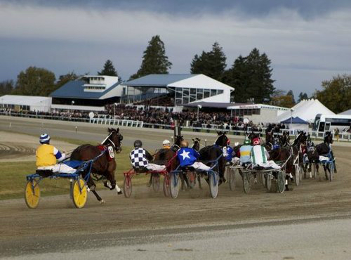 $500 Bonus Bet up for grabs at Harness 5000