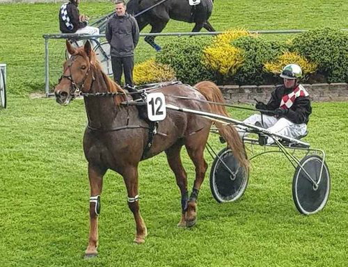 Four Cup wins for Nairn