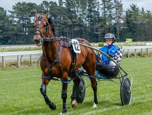 First winner for Cook