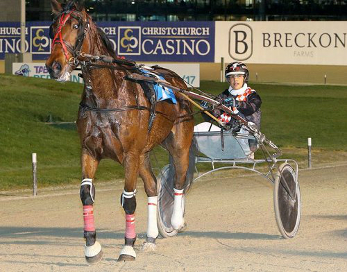 Addington pick six preview