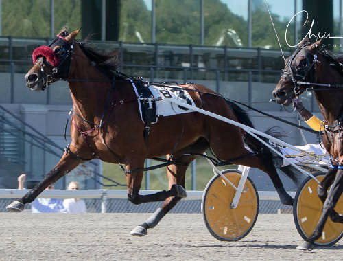 Bettor’s Up gets game win in Keystone Classic