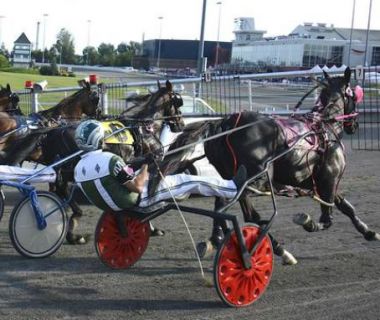 Home Hardware Maritime Breeders Stake at Red Shores