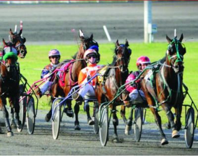 Red Shores releases 2024 Results and 2025 Plans