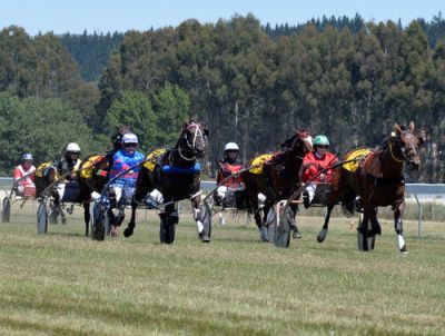 Darnika Williams to make driving debut today