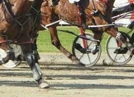 Trainer sentenced for indecently assaulting a younger stable hand