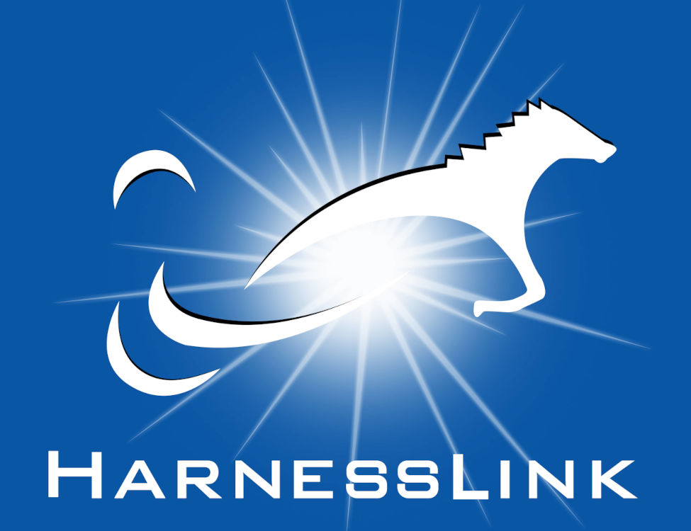 Harnesslink: A Once-in-a-Generation Opportunity