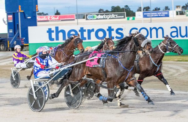 Tango Tara too strong