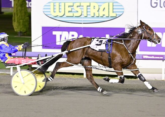 Trent’s Tips – Gloucester Park 16th January