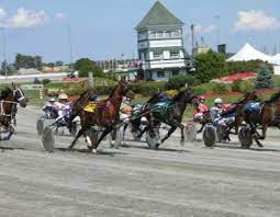 Bee Two Bee looks for seven straight