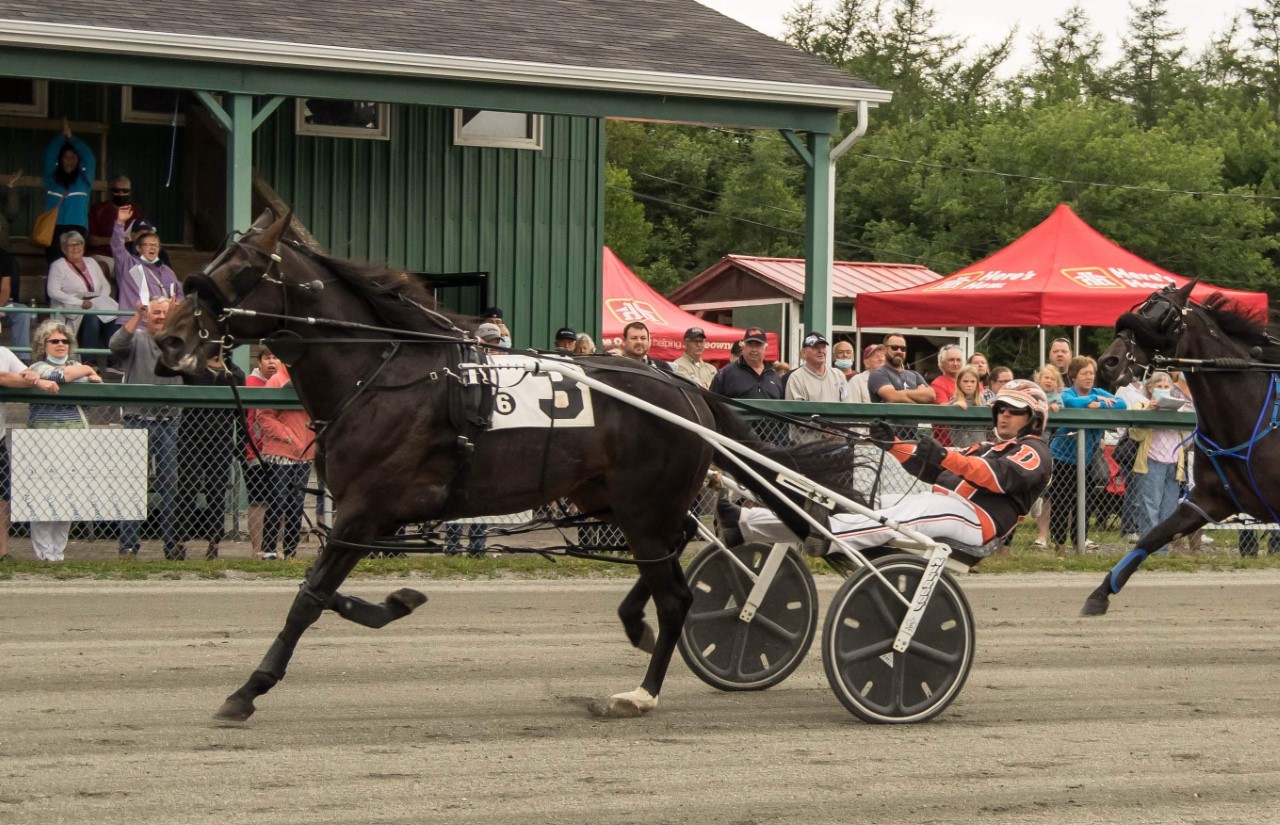 N.S. government to fund Northside Downs improvements