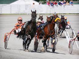 Brookdale Johnny fights off heavy favourite