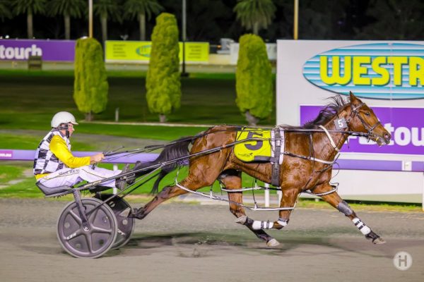 Bonny mare is ready to fly