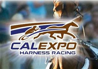 Cal Expo Trot lures solid cast