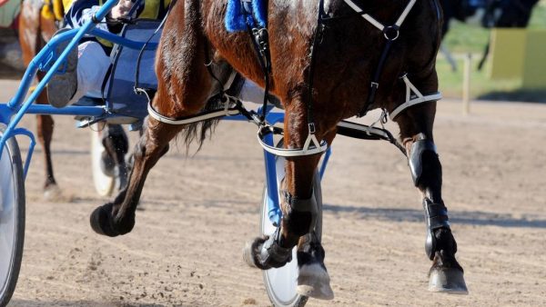 Death on the Track affects us all