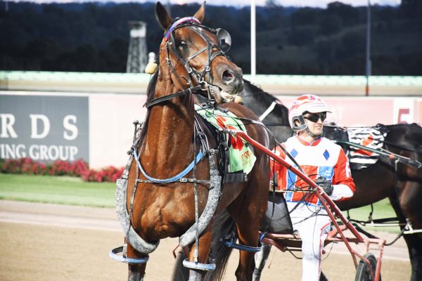 Sydney pacer chasing Tassie features