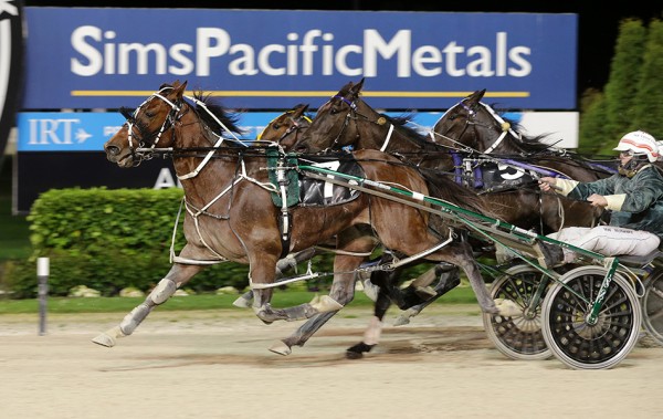 Delany confident stable can strike twice