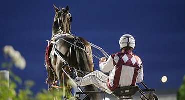 Plenty to like about Kentuckiana’s two-year-olds