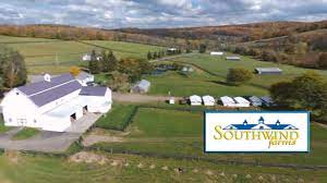 Videos available of Southwind Farms yearlings