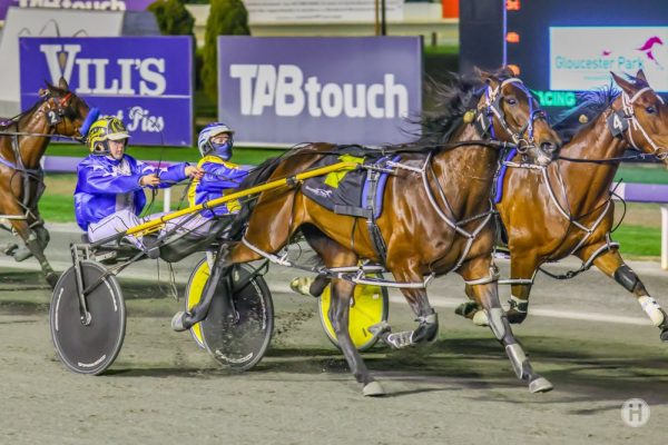 Australian Analyst – Gloucester Park Preview 20th February