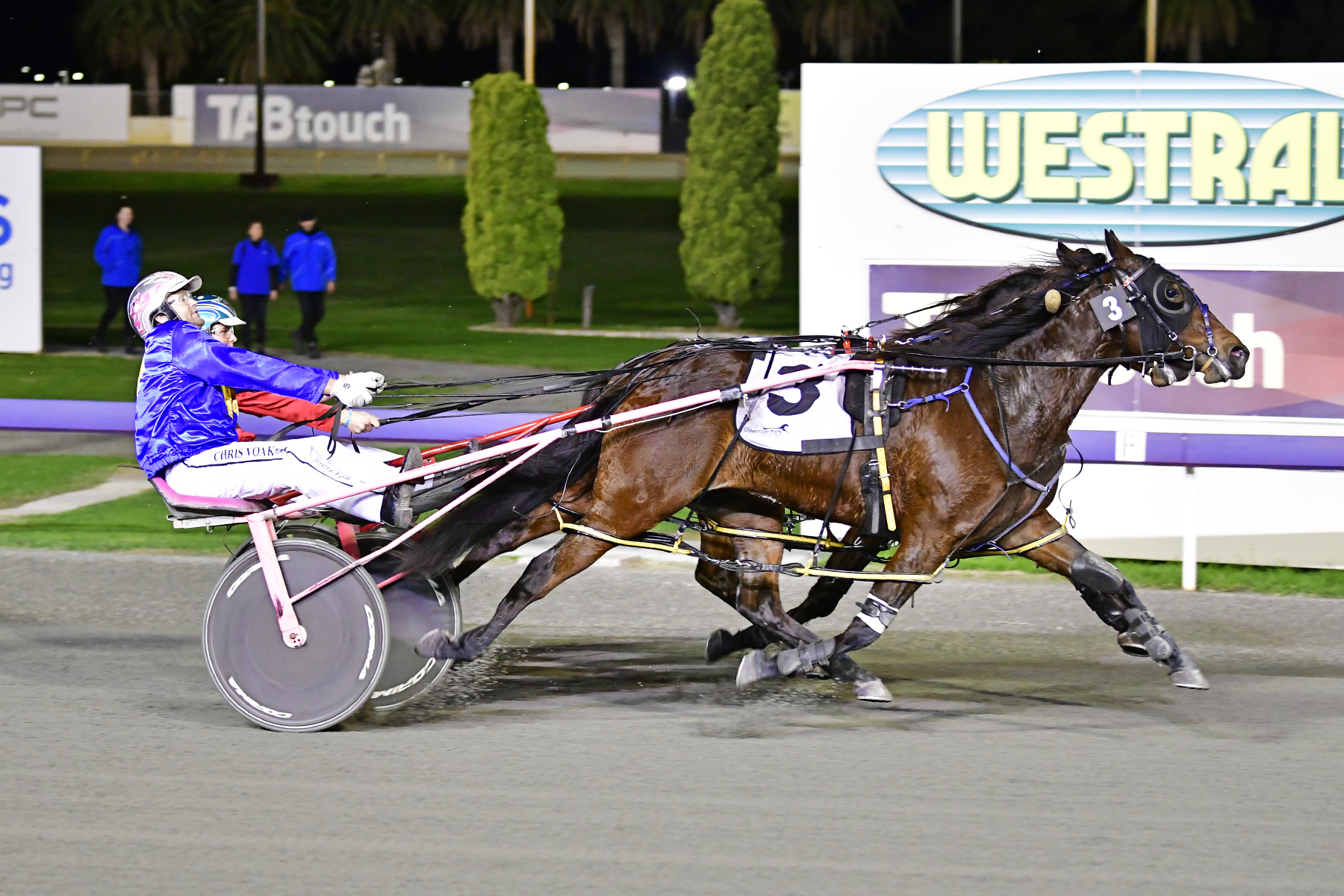 Trent’s Tips – Gloucester Park Preview 30th January