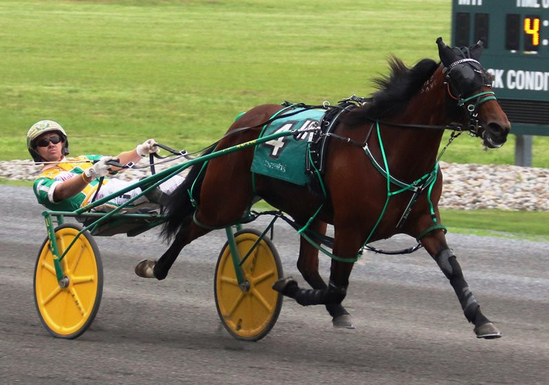 Shartin N to be inducted into Living Horse HOF