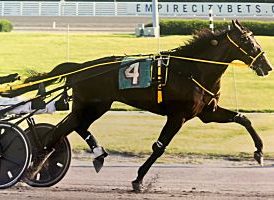 Keppler coasts in NAADA Trot