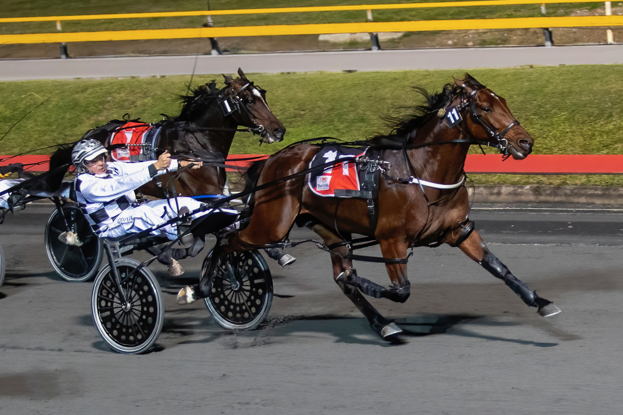 Leap To Fame (Dan Costello Photo)