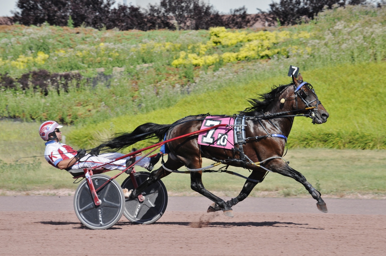 Catch The Fire’s stock star in Ohio Sires Stakes