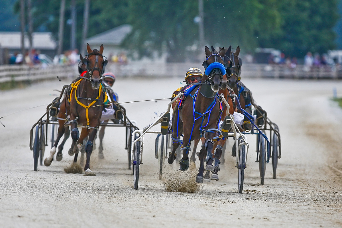OHHA to Live Stream Races from Lake and Shelby County Fair